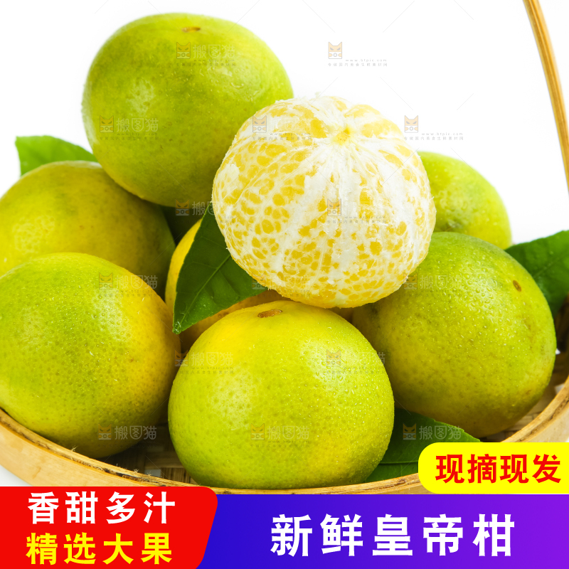 白底上的皇帝柑