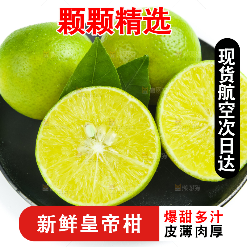 白底上的皇帝柑