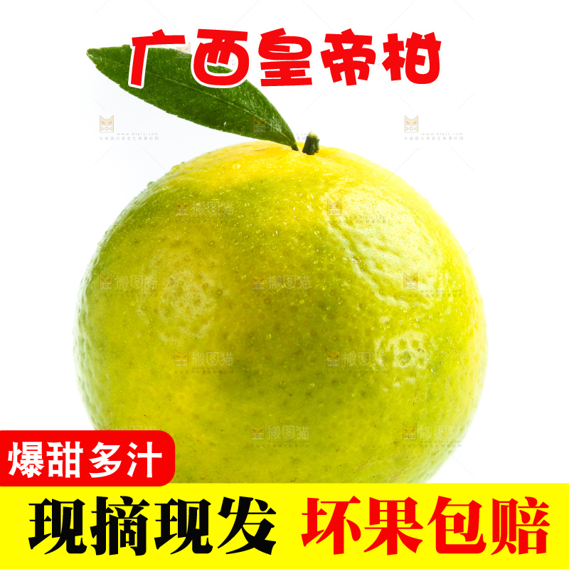 白底上的皇帝柑