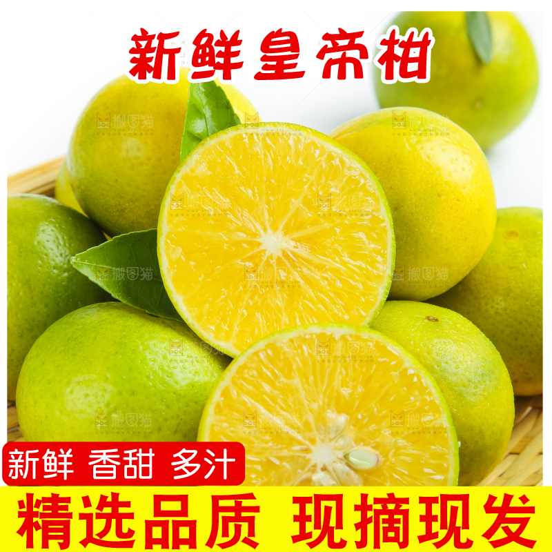 白底上的皇帝柑