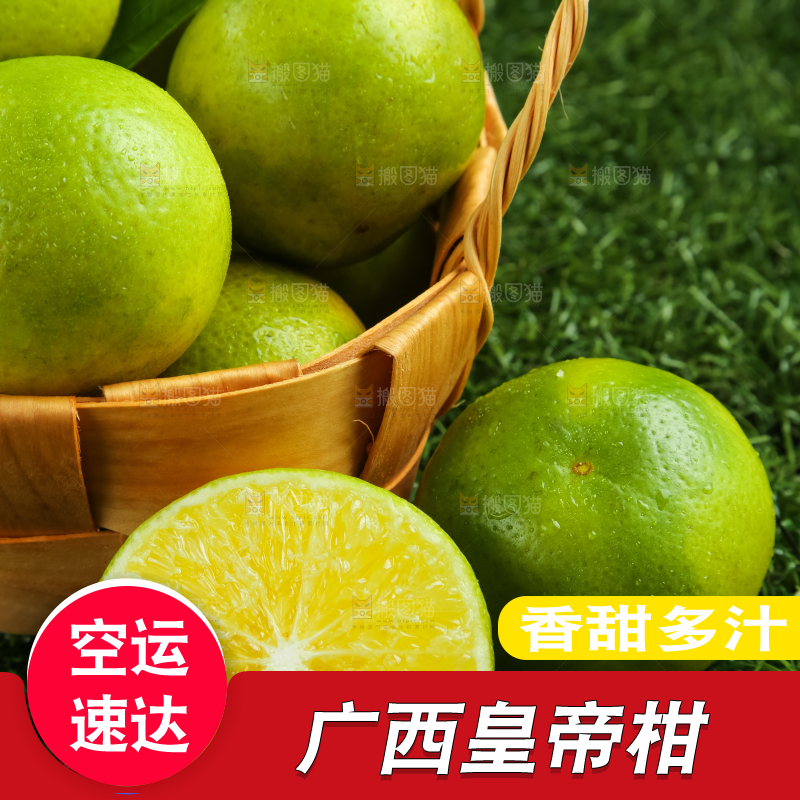 深底上的皇帝柑