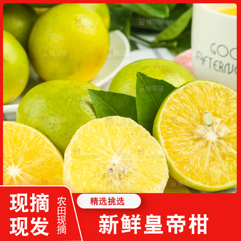 浅底上的皇帝柑
