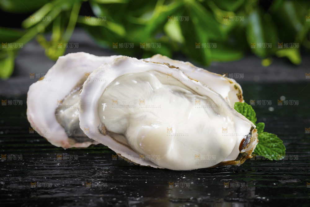 深底上的乳山生蚝