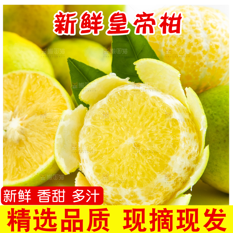 白底上的皇帝柑