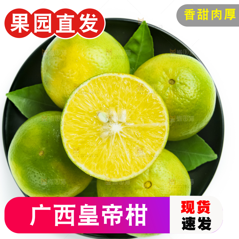 白底上的皇帝柑
