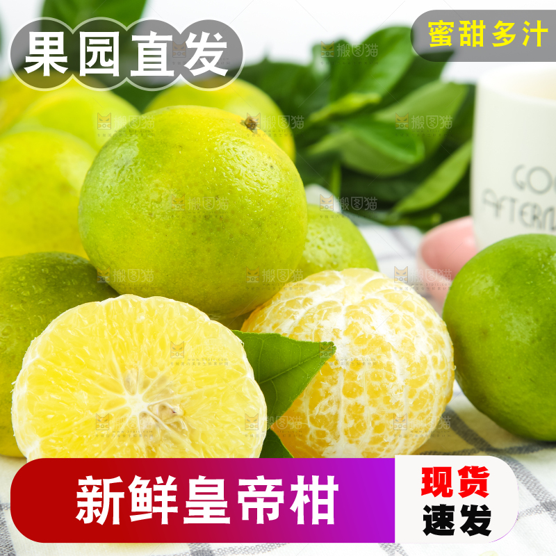 浅底上的皇帝柑