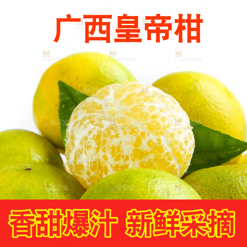 白底上的皇帝柑