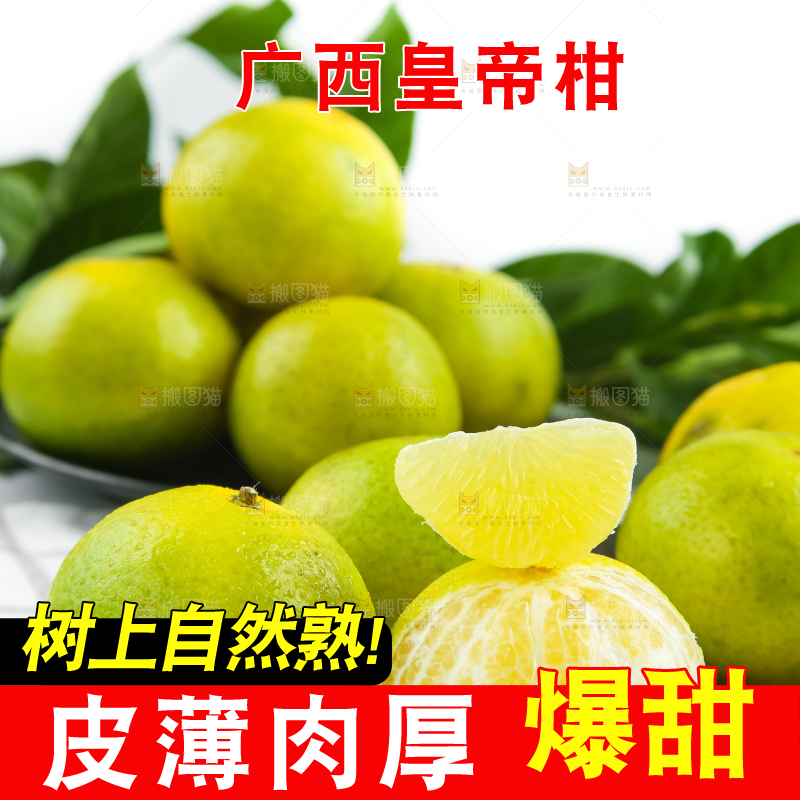 浅底上的皇帝柑