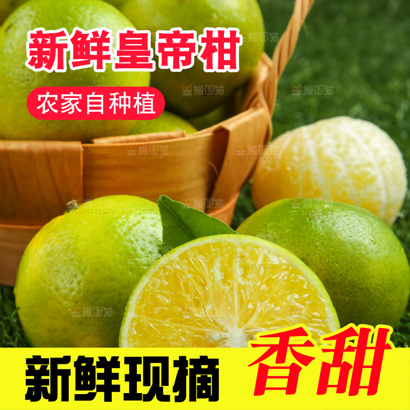 深底上的皇帝柑
