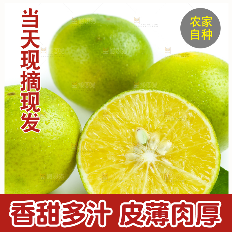 白底上的皇帝柑