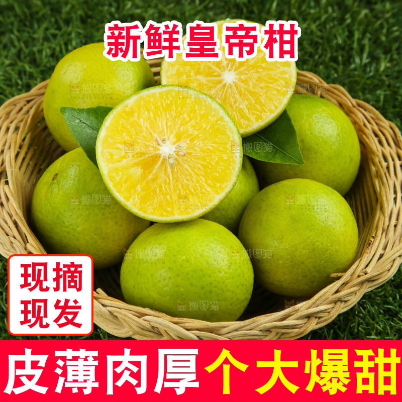 深底上的皇帝柑