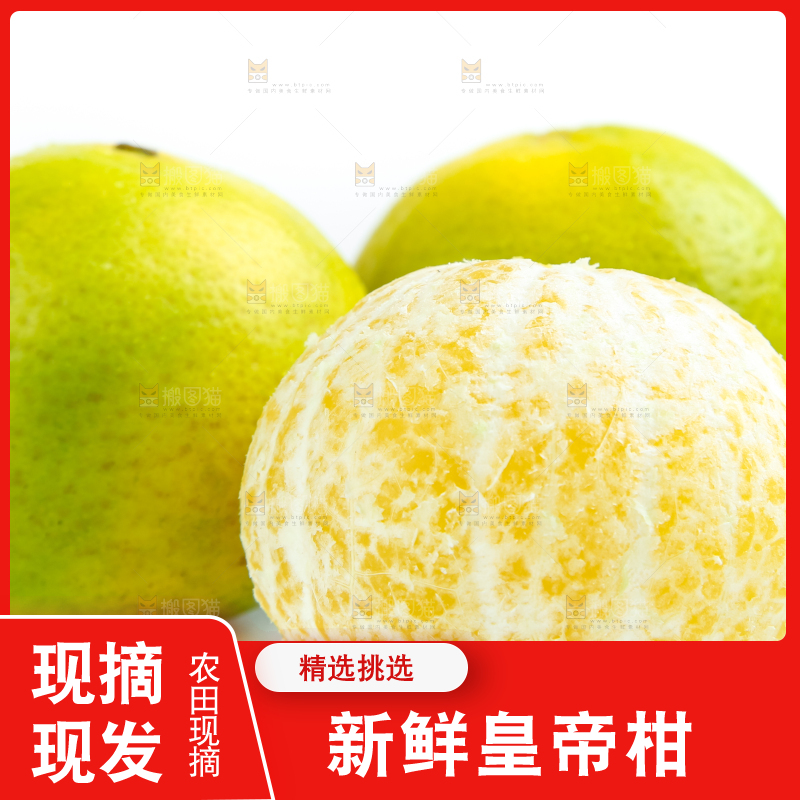 白底上的皇帝柑