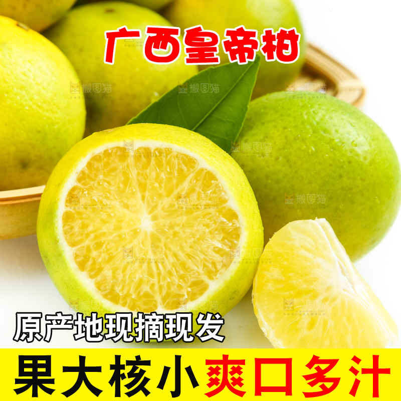 白底上的皇帝柑