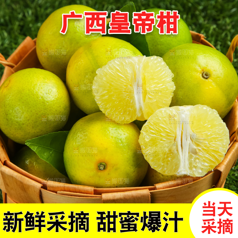 深底上的皇帝柑