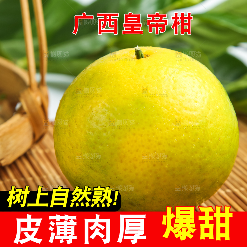 木底上的新鲜皇帝柑