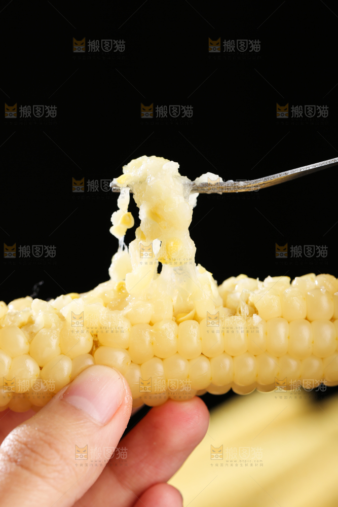 深底上的拇指小玉米