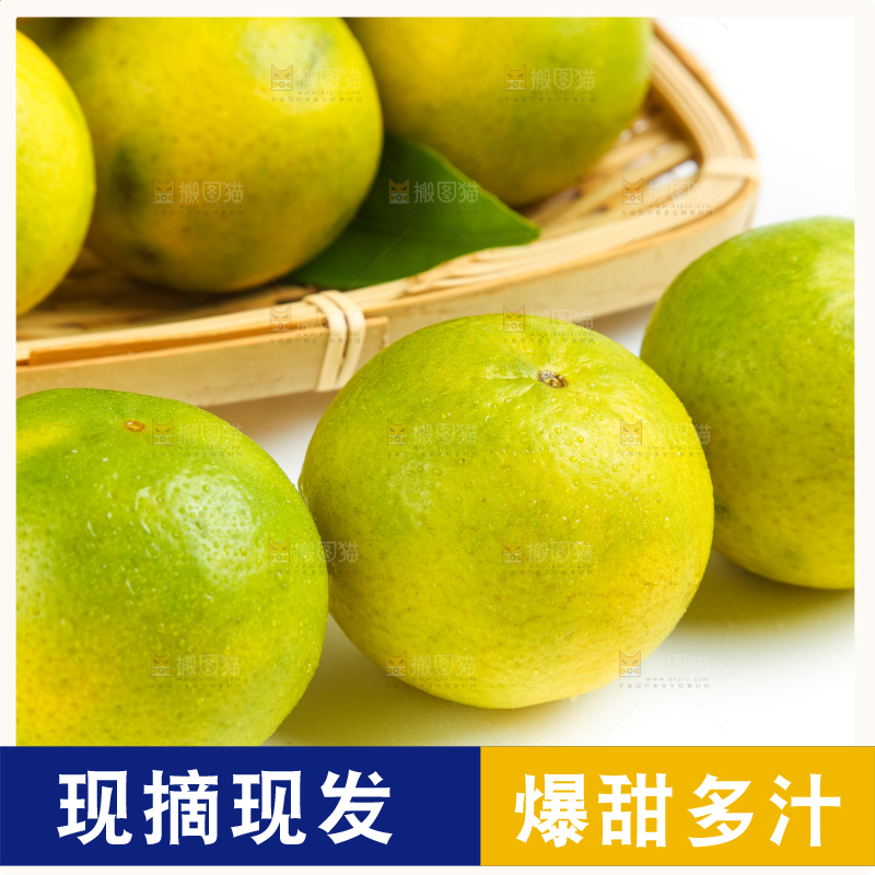 白底上的皇帝柑