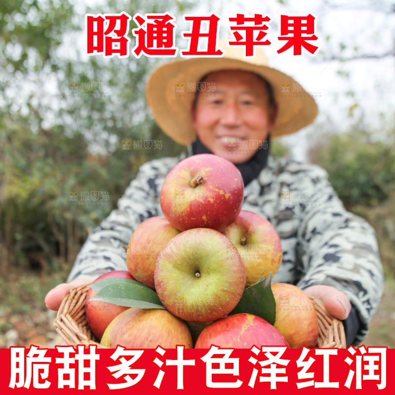 手里拿着昭通丑苹果