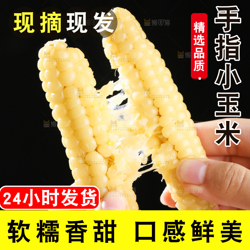 深底上的拇指小玉米