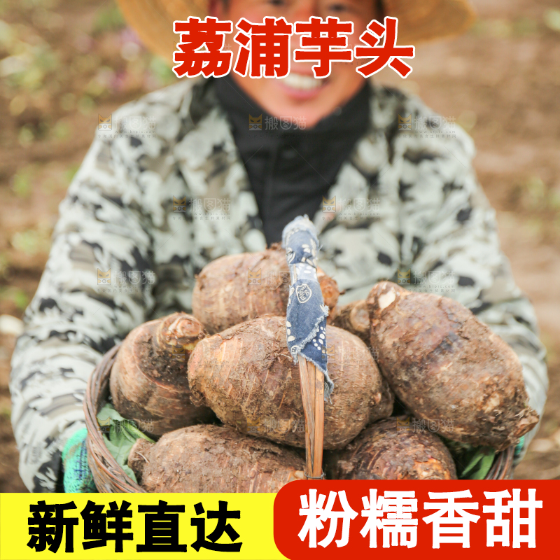 手里拿着荔浦芋头