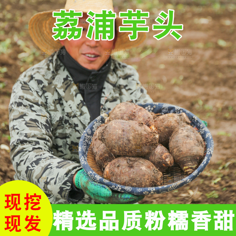 手里拿着荔浦芋头