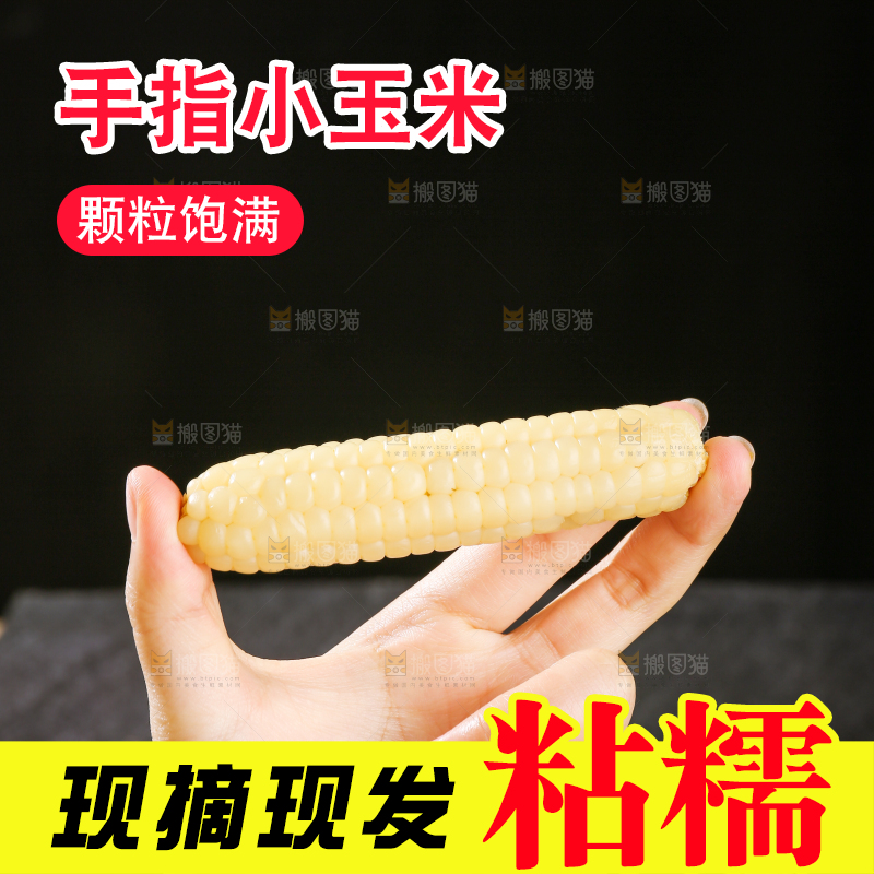 深底上的拇指小玉米