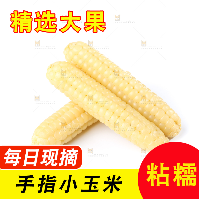 白底上的手指糯玉米