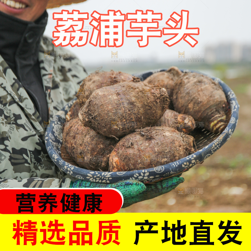 手里拿着荔浦芋头