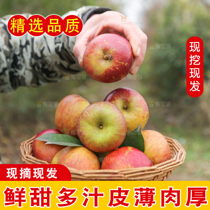 手里拿着昭通丑苹果
