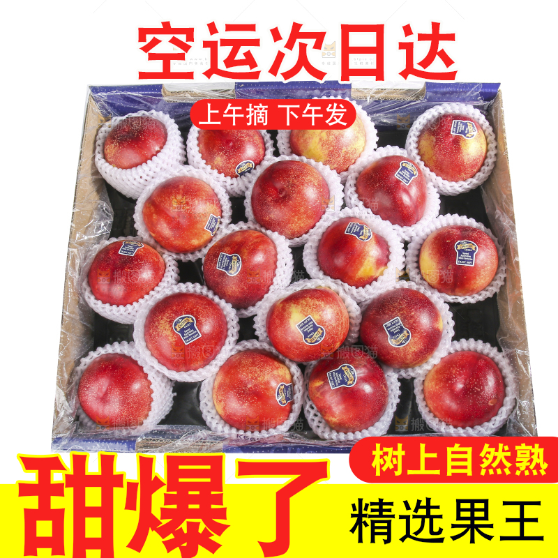 白底上的澳洲油桃