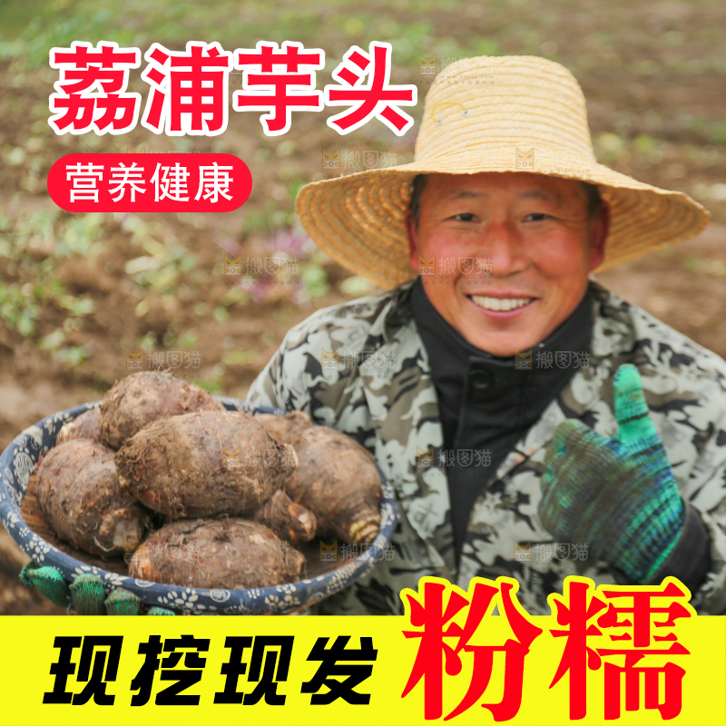 手里拿着荔浦芋头