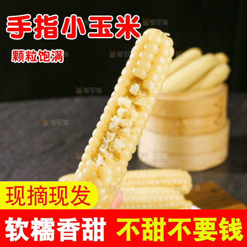 深底上的拇指小玉米