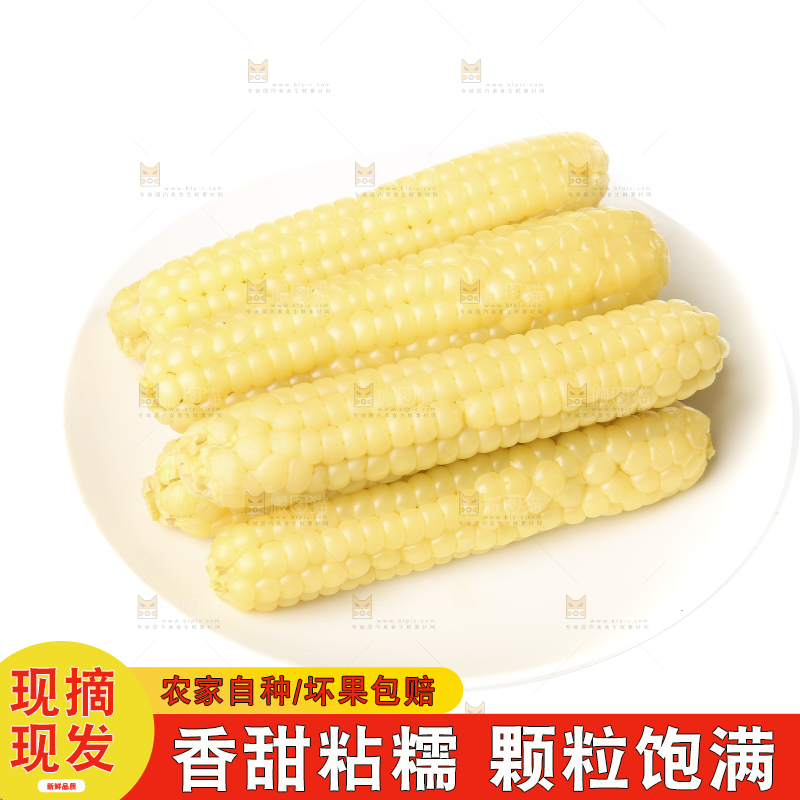 白底上的手指糯玉米