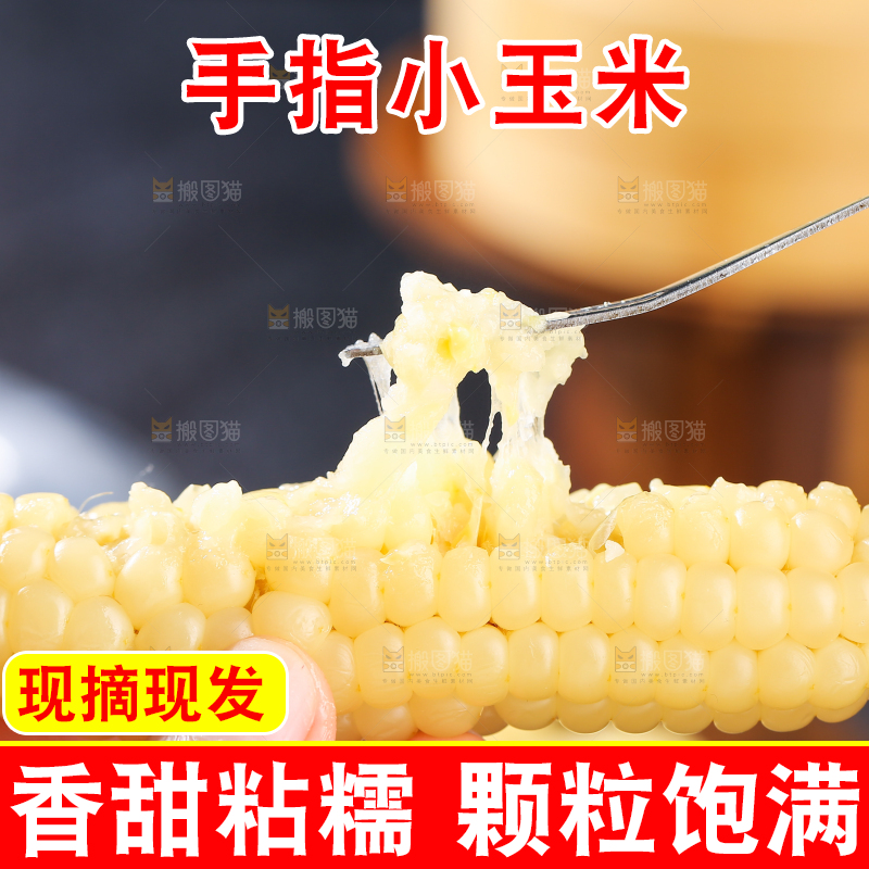 深底上的拇指小玉米