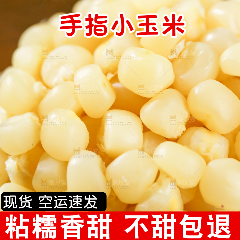 深底上的拇指小玉米