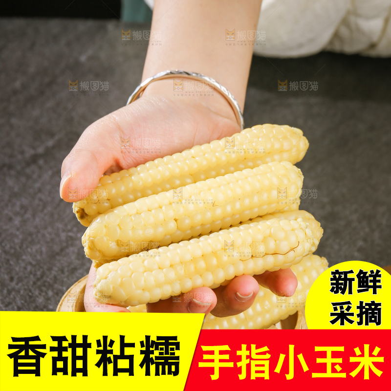 深底上的拇指小玉米
