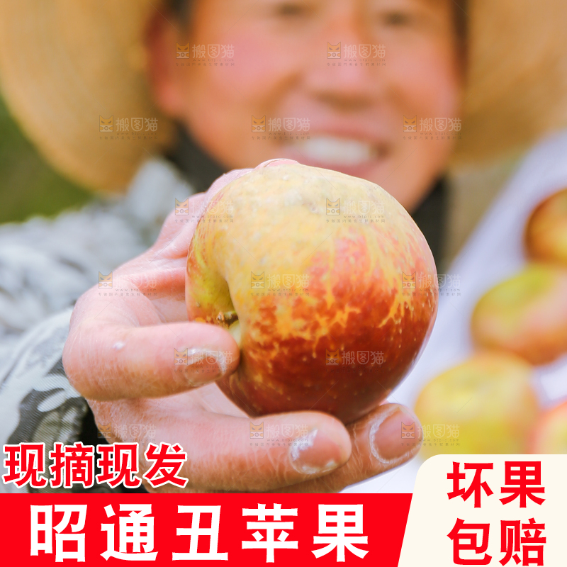 手里拿着昭通丑苹果