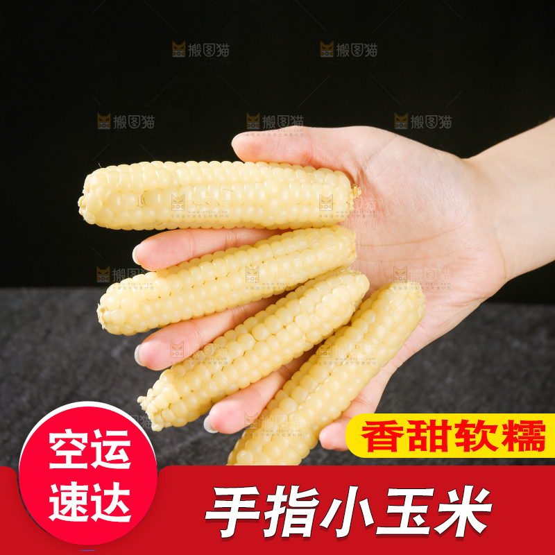 深底上的拇指小玉米