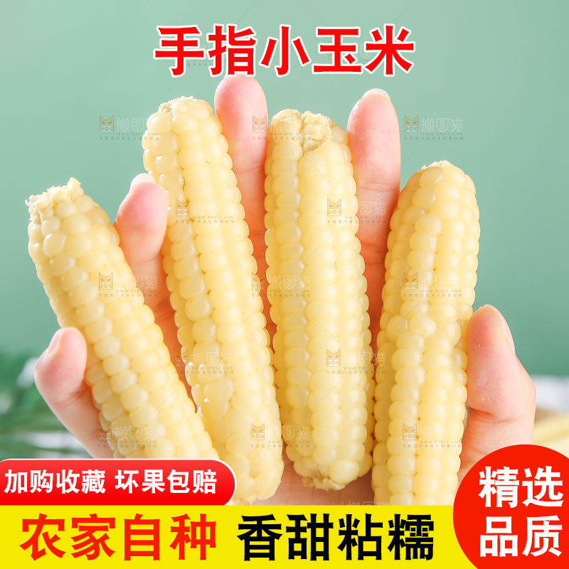 浅底上的手指糯玉米