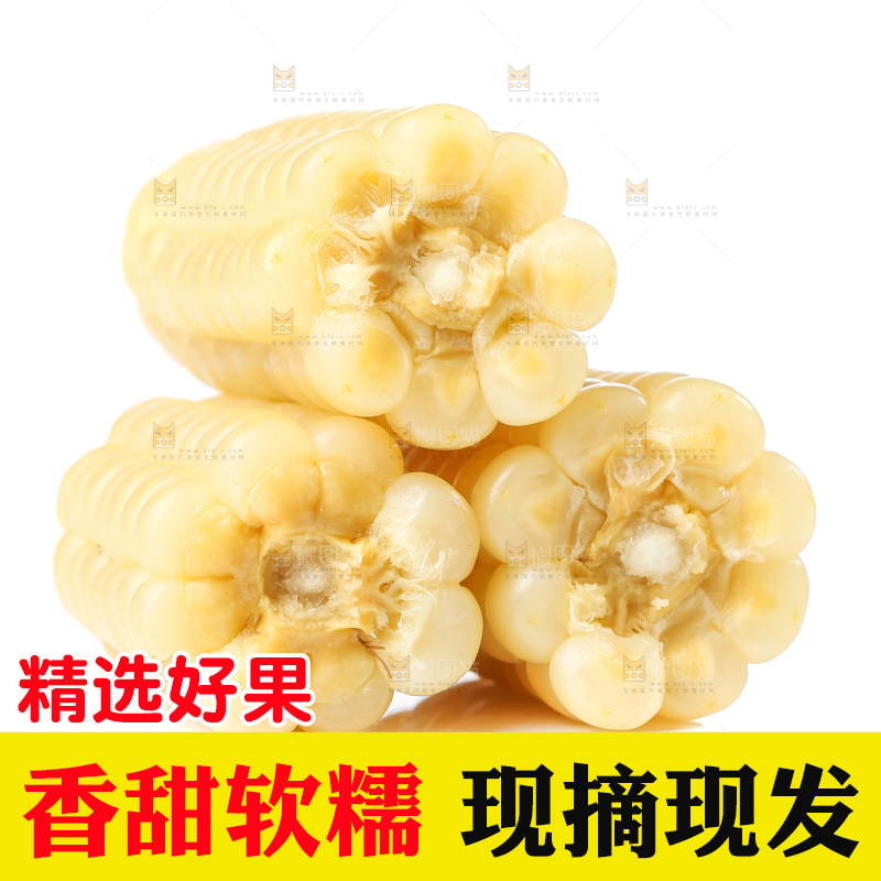 白底上的手指糯玉米