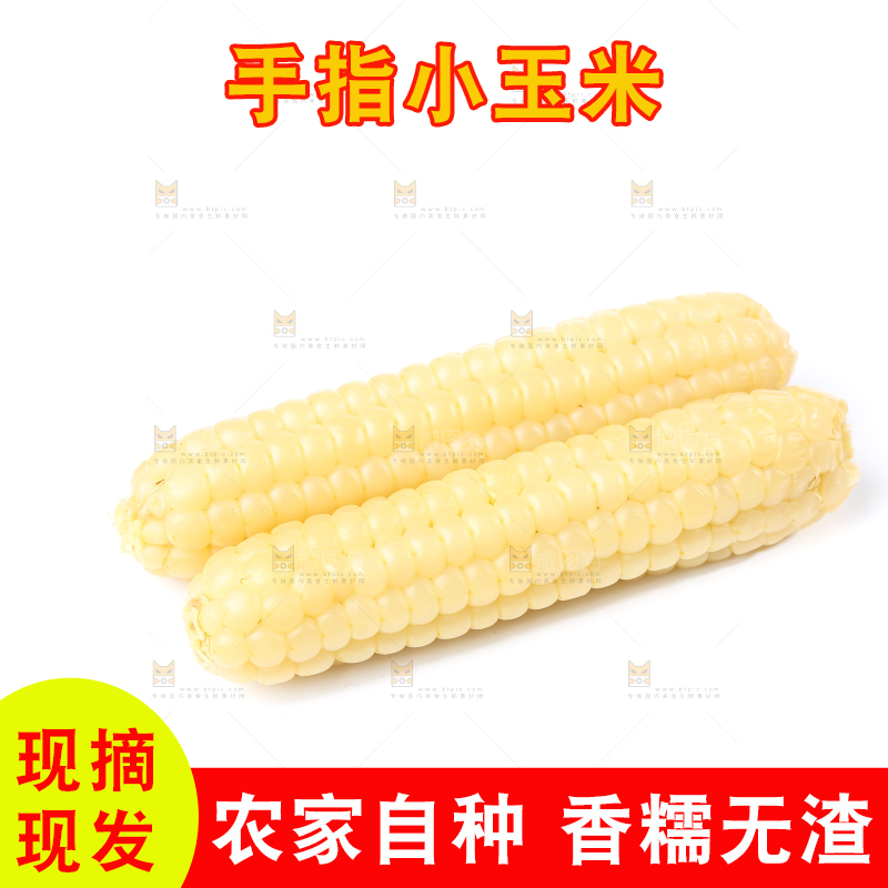 白底上的手指糯玉米