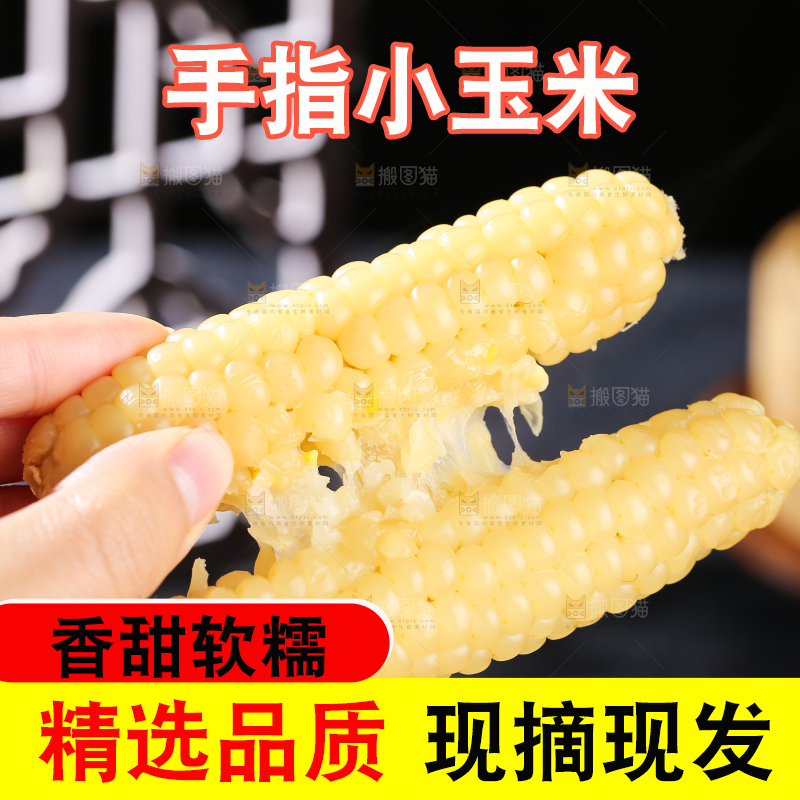 深底上的拇指小玉米