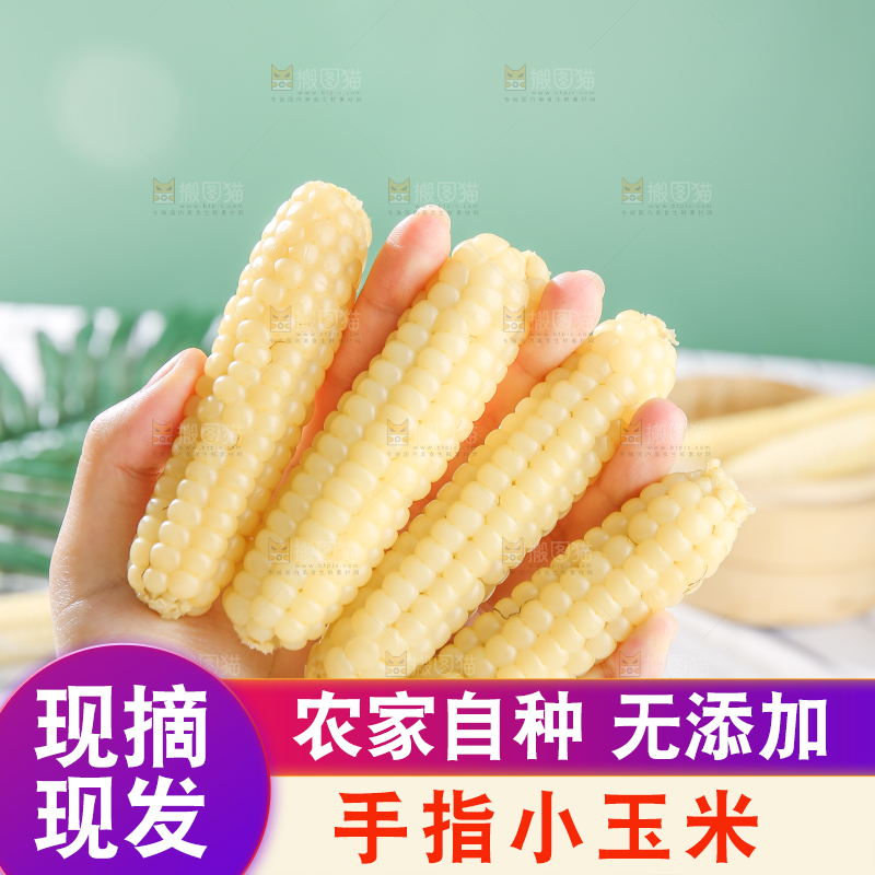 浅底上的手指糯玉米