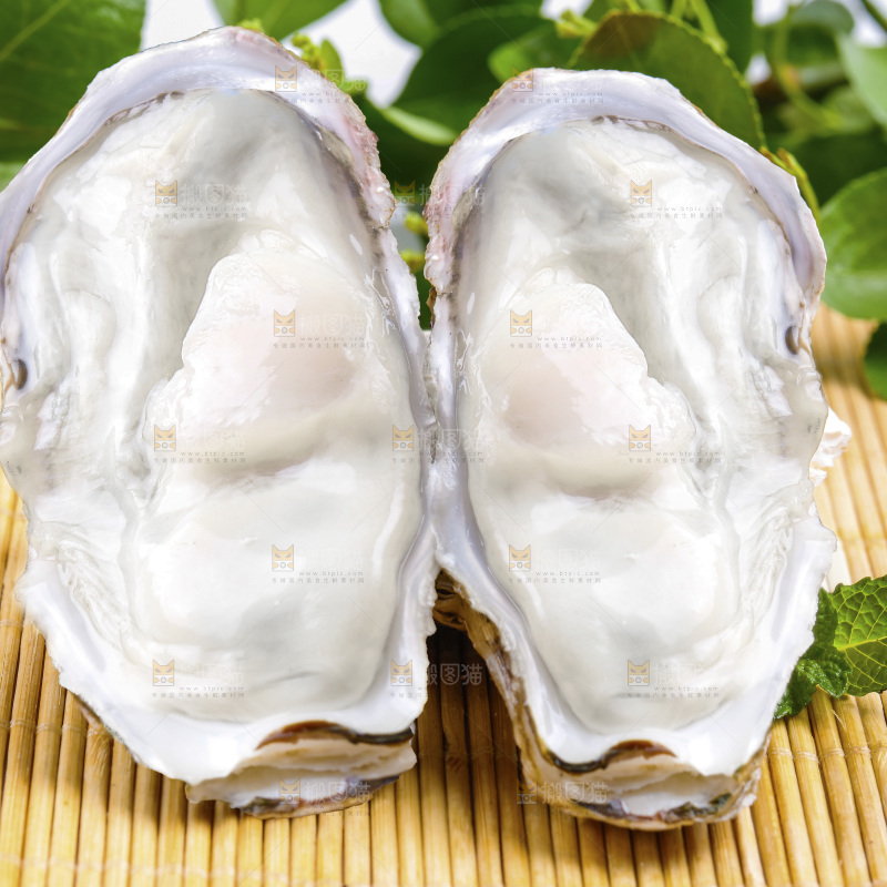 深底上的乳山生蚝