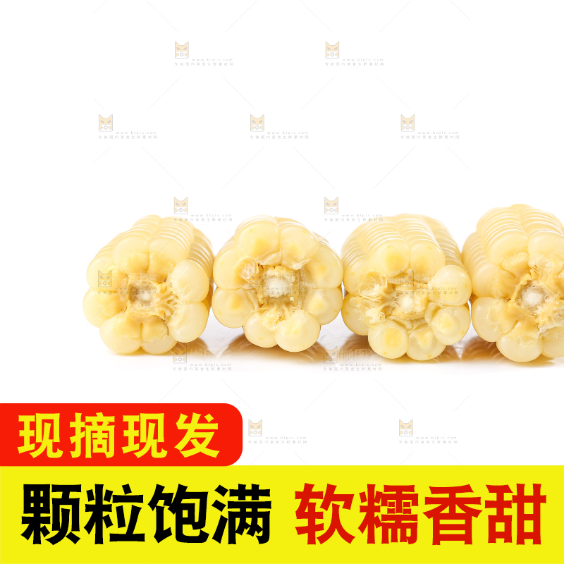 白底上的手指糯玉米
