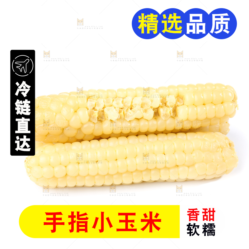 白底上的手指糯玉米