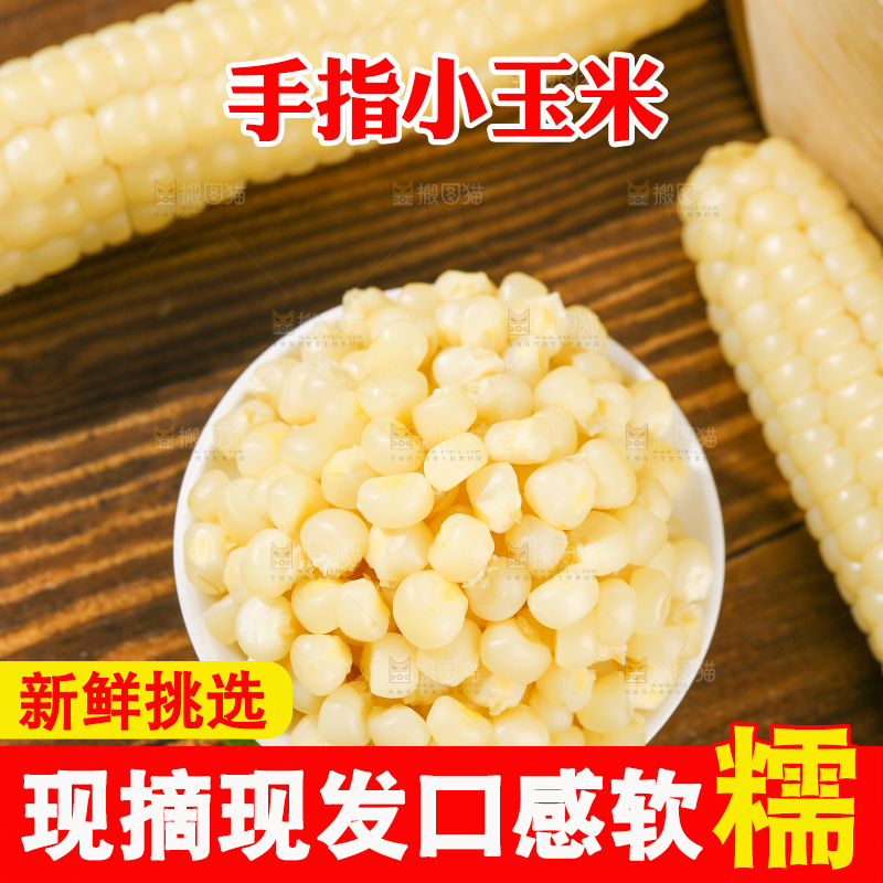 深底上的拇指小玉米