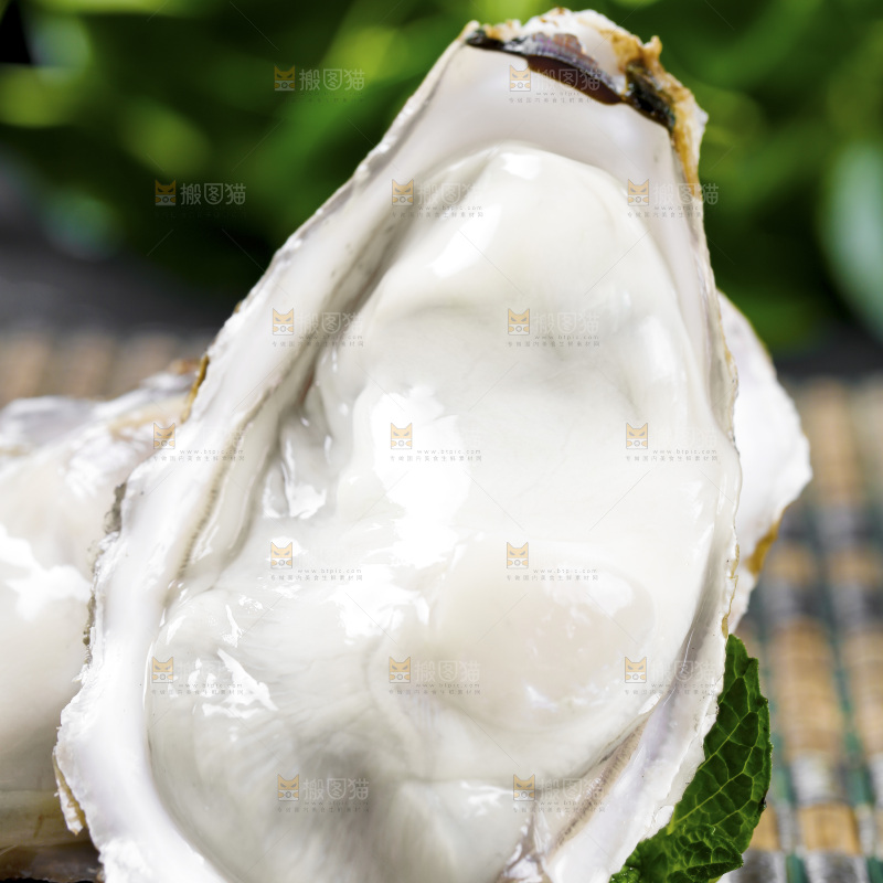 深底上的乳山生蚝