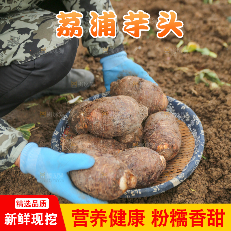 手里拿着荔浦芋头