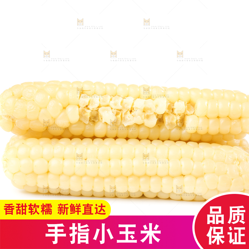 白底上的手指糯玉米
